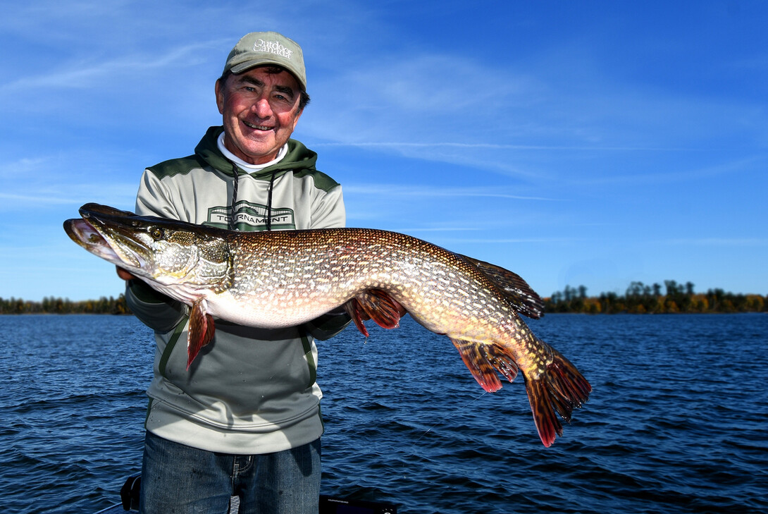 Tips on using swimbaits to catch pike and musky