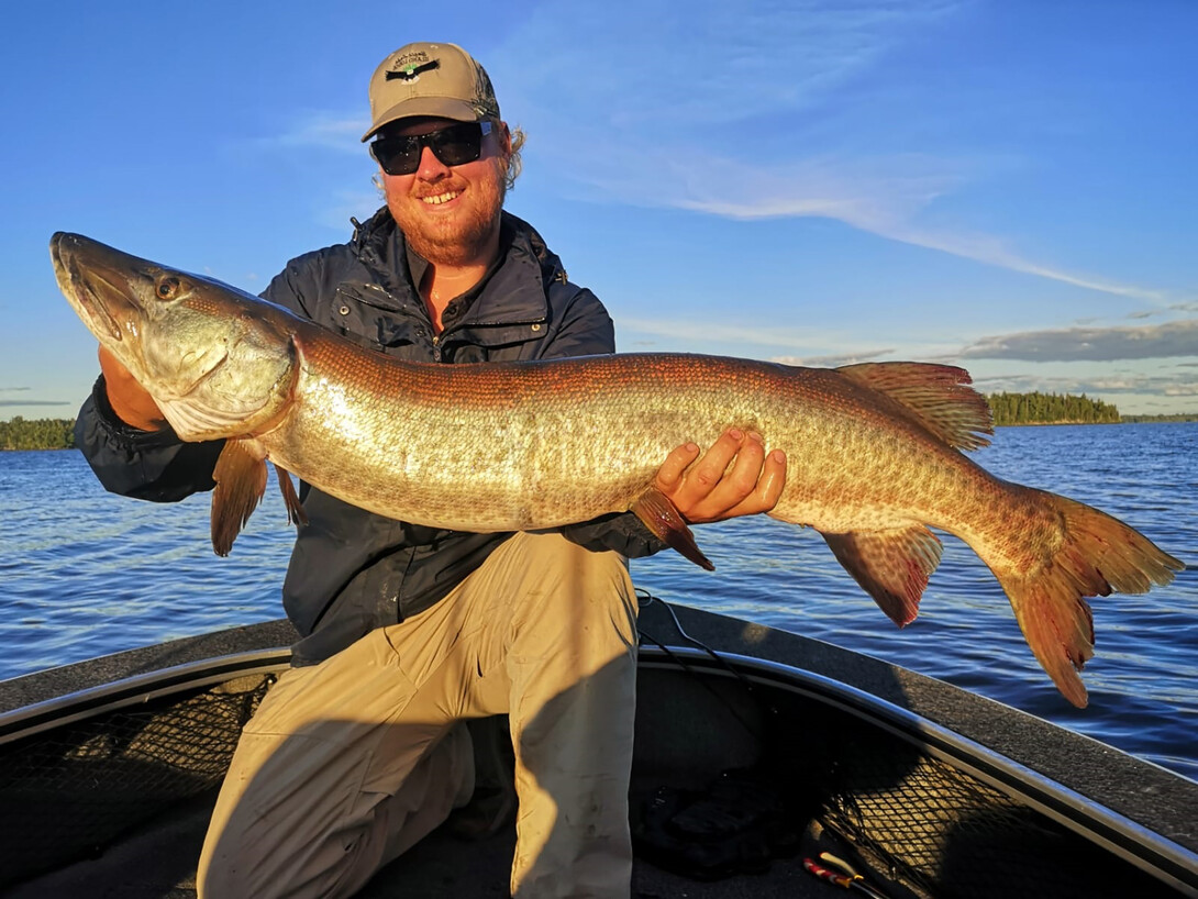 Muskie Fishing on Eagle Lake  Cedar Point Lodge - Eagle Lake, Ontario