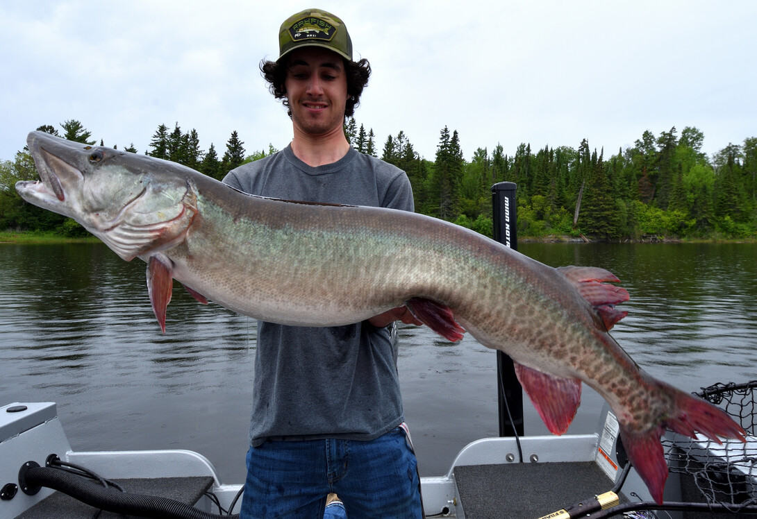 Pike And Muskie Reels - In-Fisherman