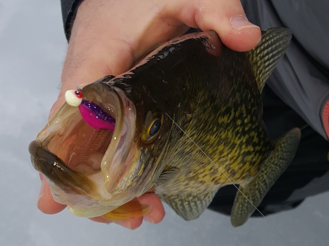 Top fishing tips for wintertime crappie