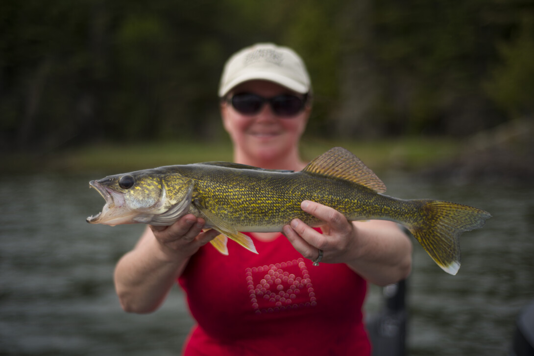 Planning A Family Fishing Trip to Canada
