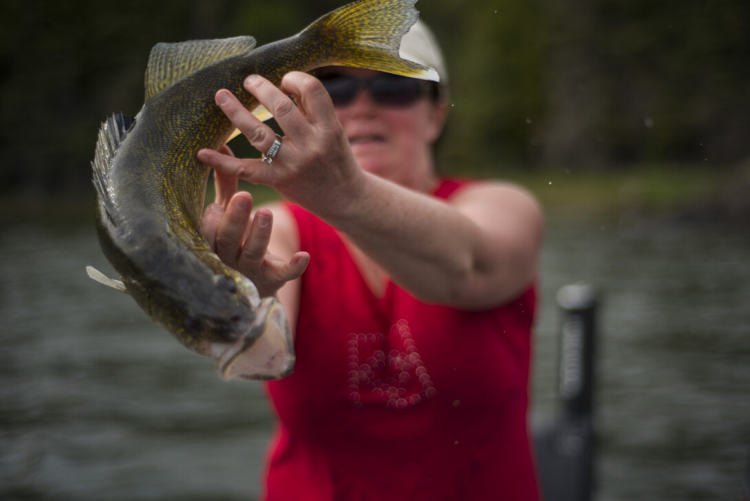 How to Properly and Safely Hold Fish