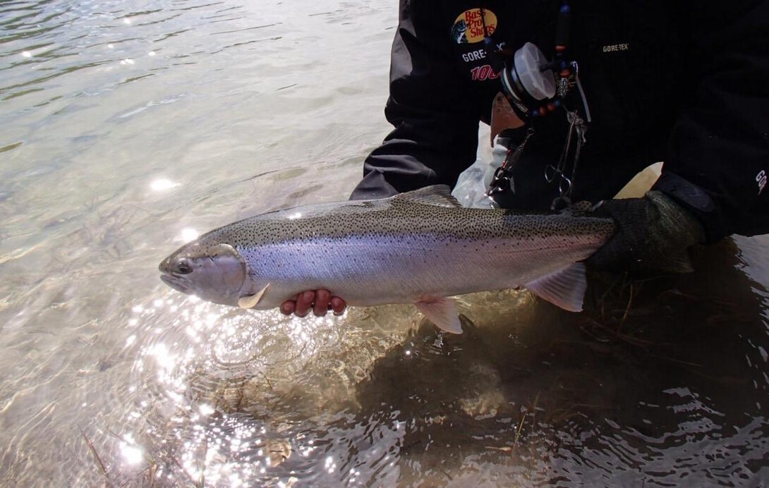 The Fish Grip - Fishing Tool for Landing & Handling fish! 