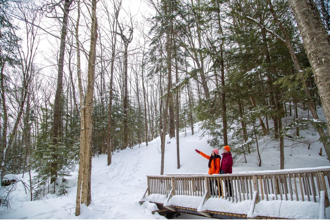 Winter Hiking in Northern Ontario