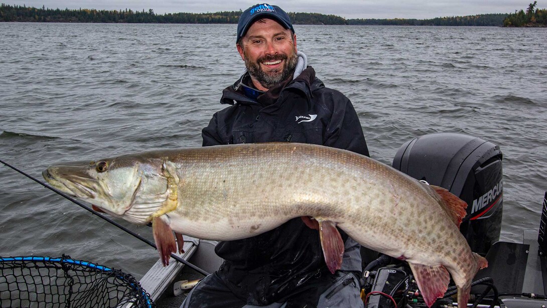 Fall Musky Locations – Our Favorite Musky This Year – Triple Musky Cat –  Musky Insider