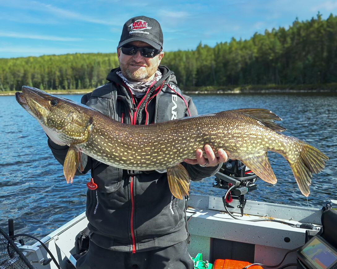 January Pickerel and Northern Pike in the Eastern Basin Using Keitech  Swimbaits