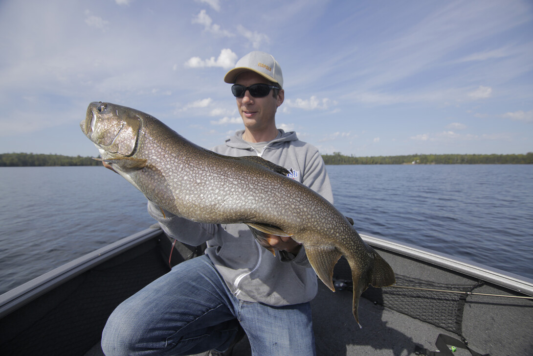 Landing Lake Trout at Camp Quetico