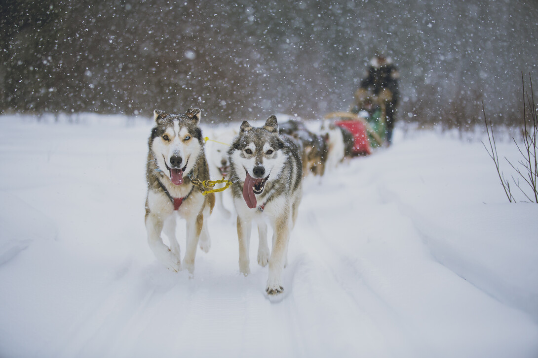 Cold Nights Fast Trails Northern Ontario Travel