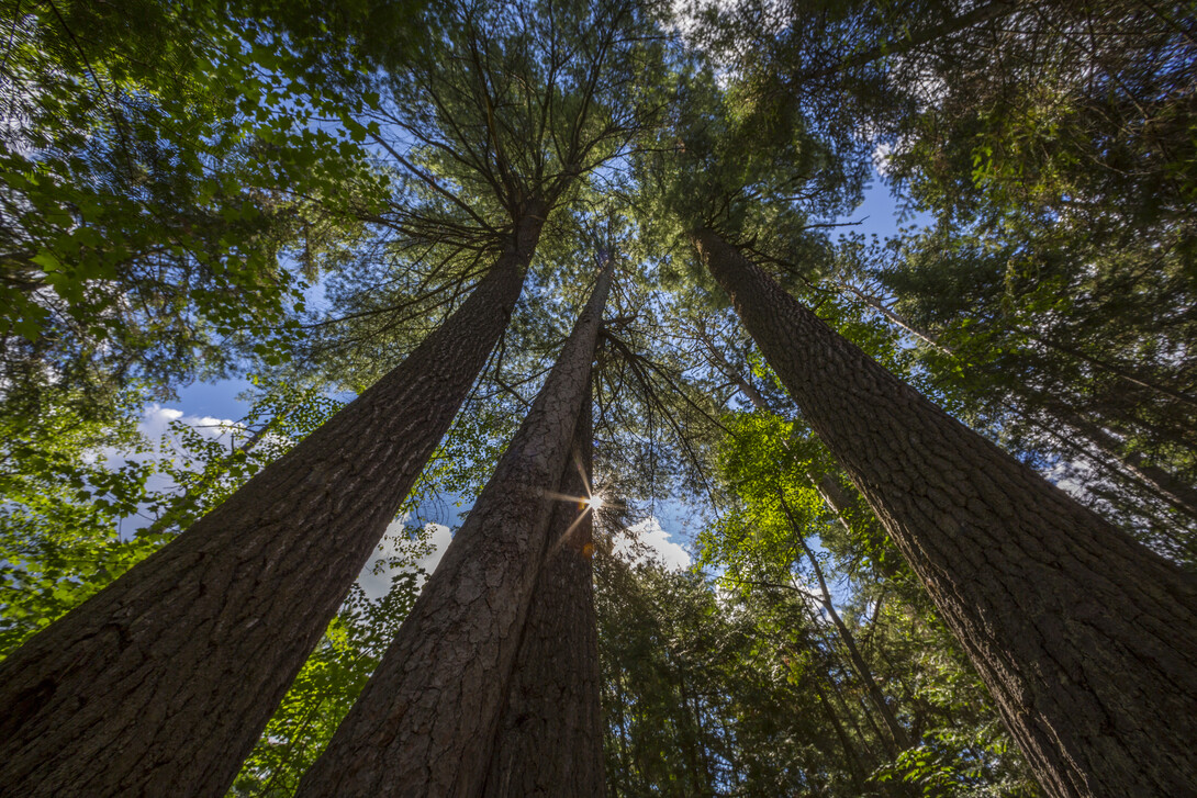 Spiritual Sites of the Temagami Region by Hap Wilson