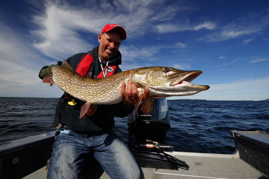 Walleye & Spinners: A Perfect Match - Northern Wilds Magazine