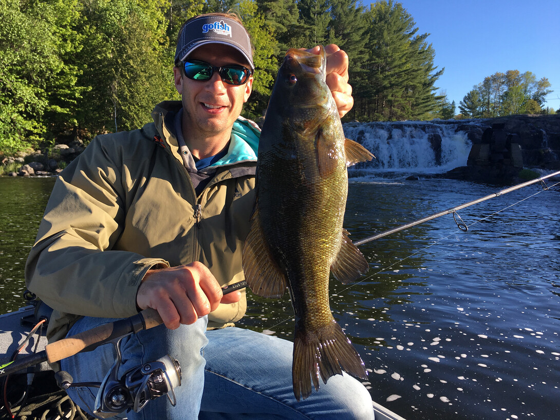 Catching Smallmouths on Top During the Summer-to-Fall Transi - In