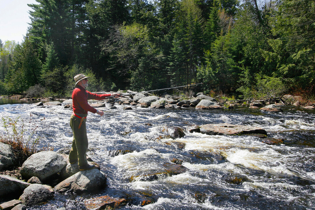 Get tips on how to catch brook trout in Algonquin Park