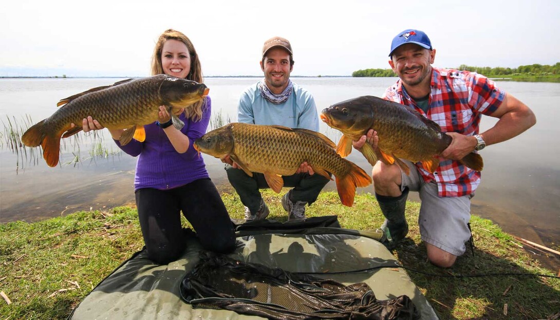 Fishing for Carp at Night - Fish'n Canada