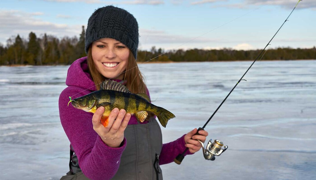 Ice Fishing for perch in Ontario: Tips and Equipment