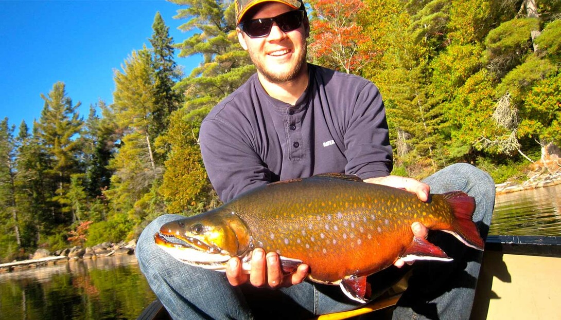 All About Brook Trout From Maine To California 1954 ELLIOT, Bob