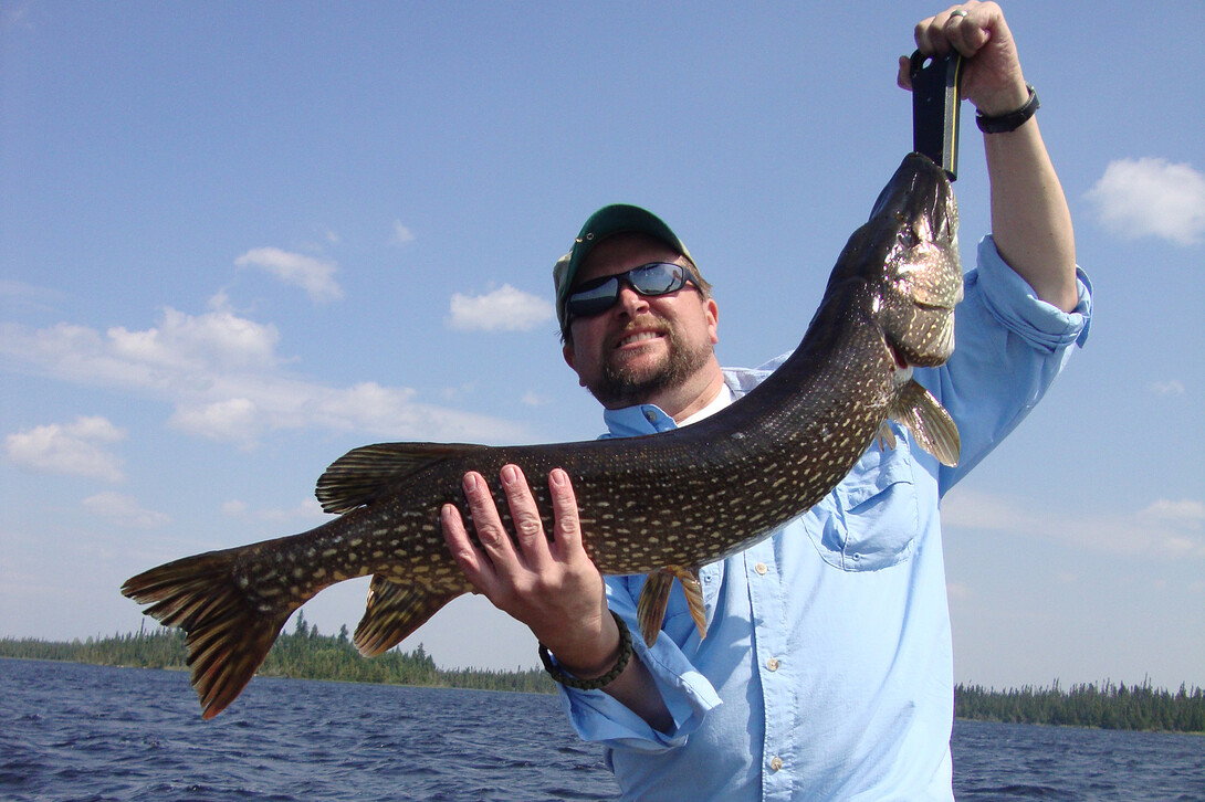 Walleye save a fishing day: Tasty fish take the bark out of dog