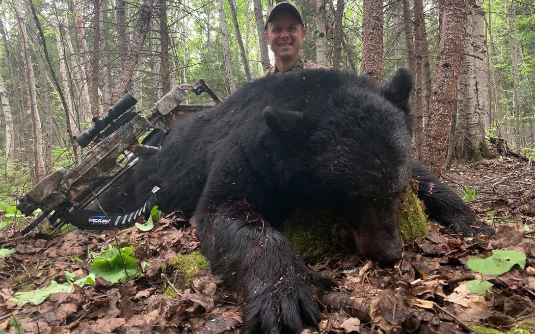 Hunting and Butchering Wild Black Bear