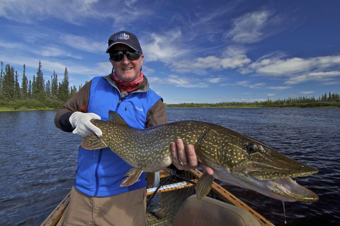 canadian fishing trip the pike that broke my line above the leader