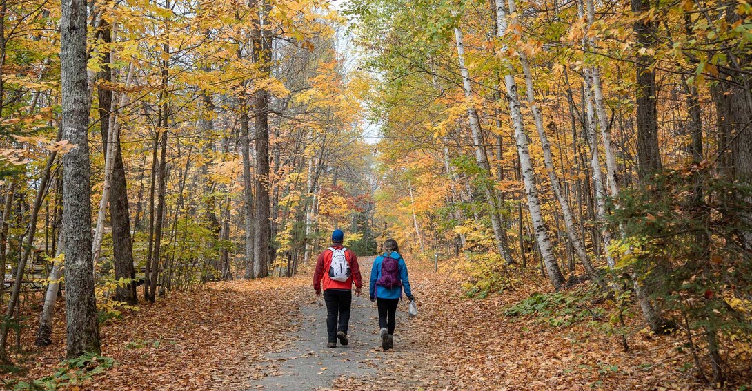 Five Spectacular Fall Colour Tours in Algoma Country