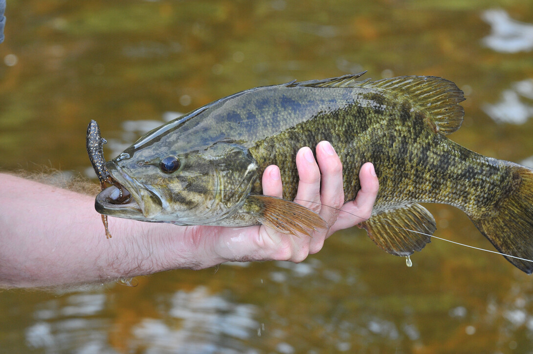 Accessing untapped bass fishing backwaters - Ontario OUT of DOORS