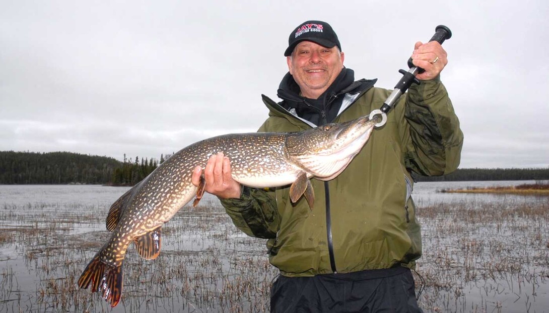 How to Use Dead Bait to Catch Northern Pike