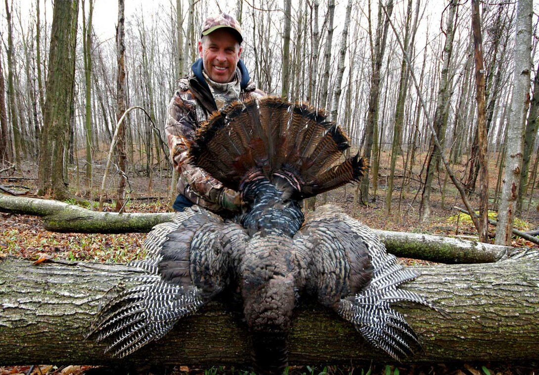 Turkey & Turkey Hunting Magazine On Sale NowTurkey and Turkey Hunting