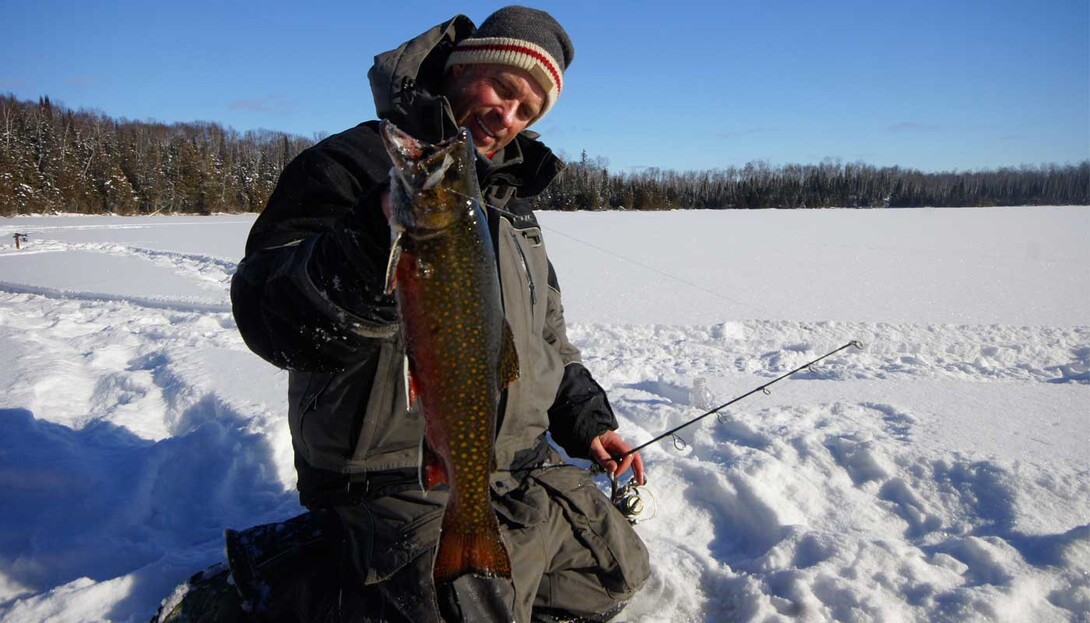 Shoreline Strategies for Stocked Winter Brook Trout