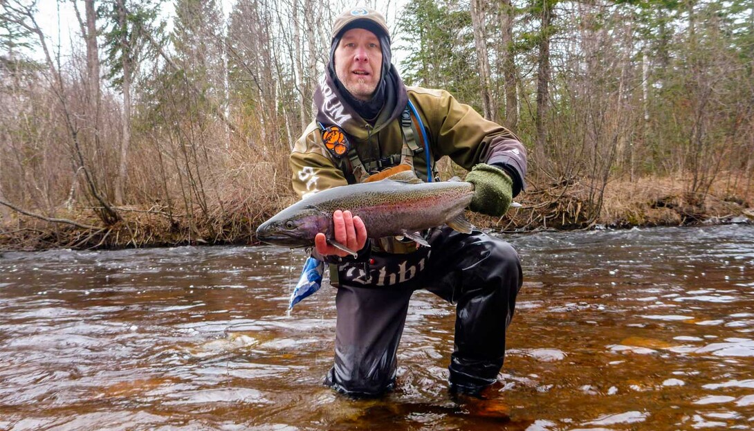 Lake Huron Rainbow Trout Steelhead Fishing Canada