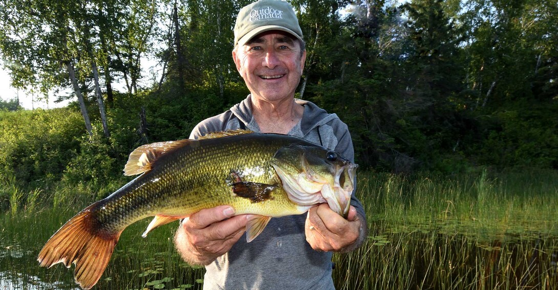 Worm Your Way In: A Go-To Bait for Bass Fishing