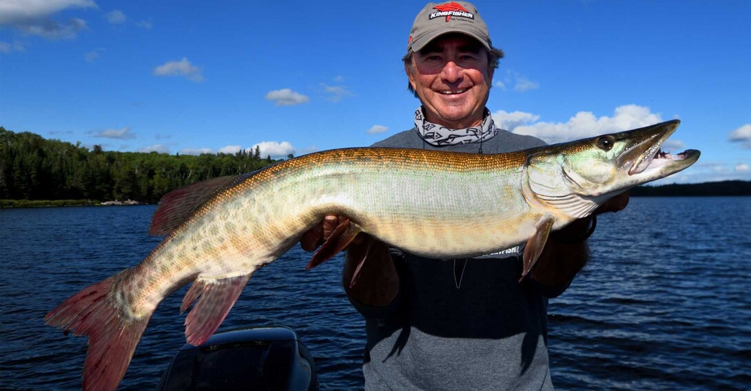 Cast Back for Giant Muskies: Eagle Lake Island Lodge