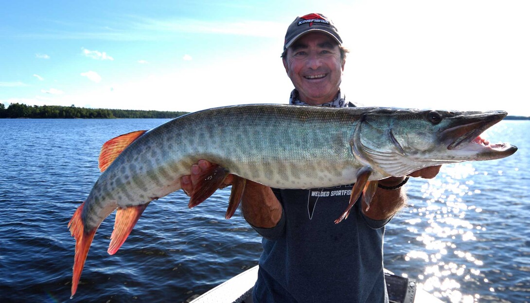 Judas Bait Muskies  Northern Ontario Travel