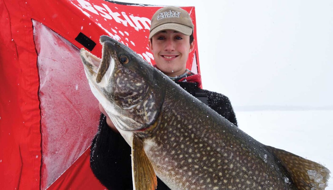 Ice Fishing Print Togue In Trouble (Lake Trout)