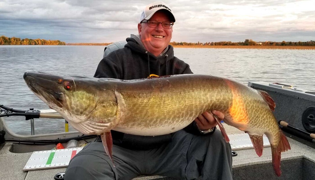 Top 5 Musky Baits From Musky Fishing Experts - Fish'n Canada