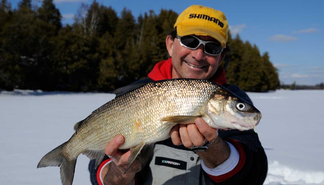 Ice Fishing for Whitefish in Northern Ontario