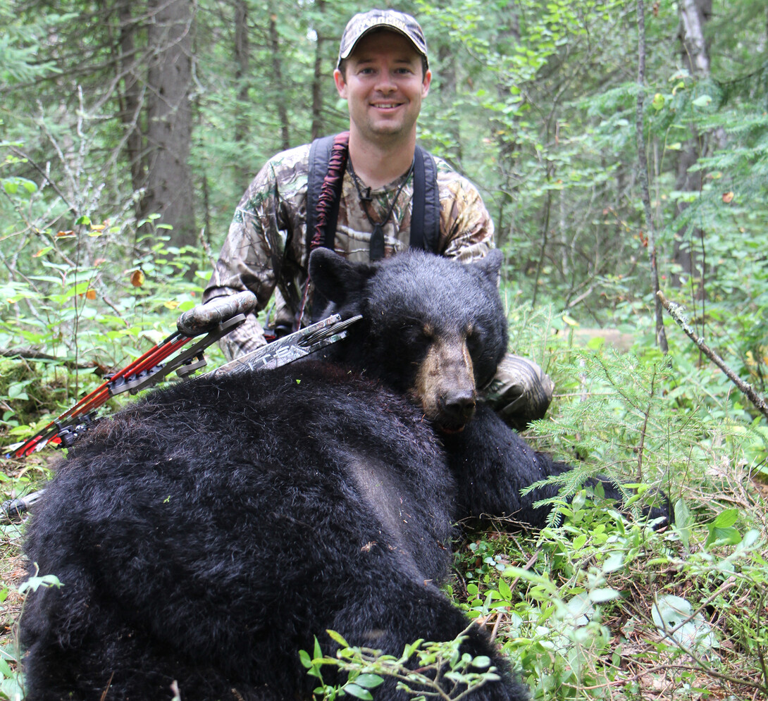 Baiting For Black Bears