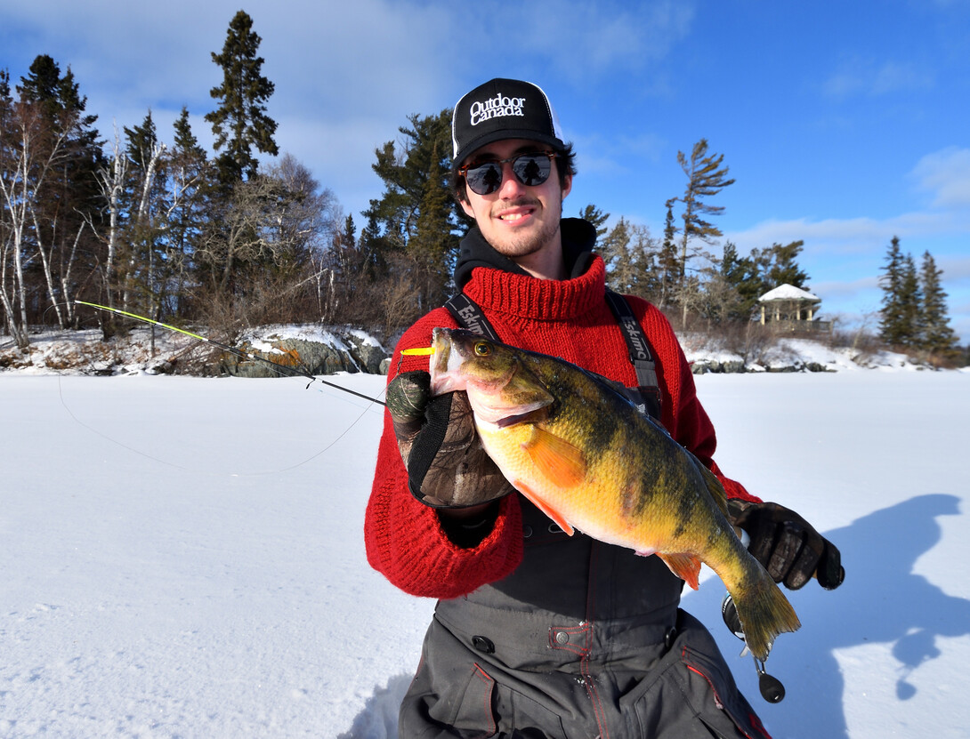 Winter ice fishing with ice fishing gear. Lot of perch caching from