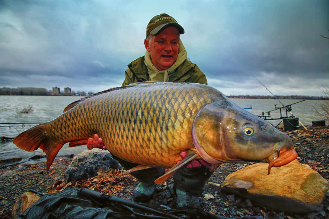 Common Carp Fishing, Spain & Canada