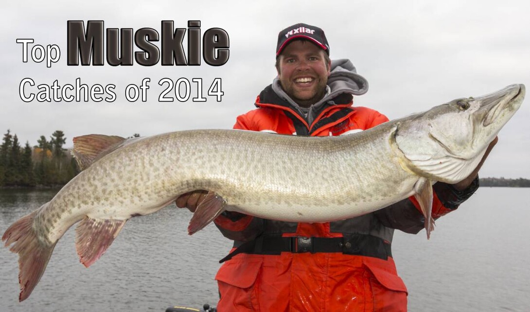 Everything about it was pretty unbelievable': 51.5 inch Muskie caught in  West Bay