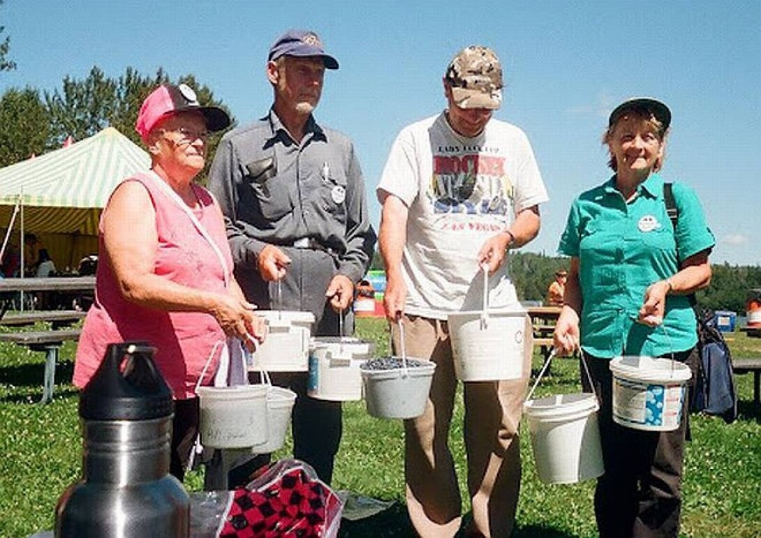 Blueberry Picking on the North Shore