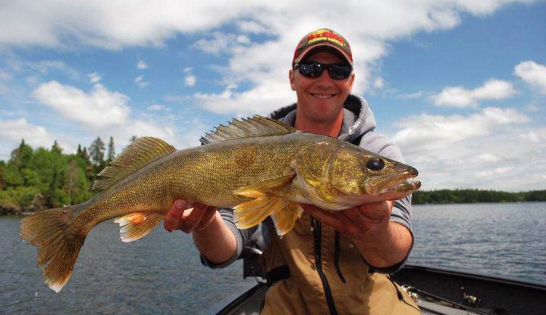 Suspended bait leads to fishing success