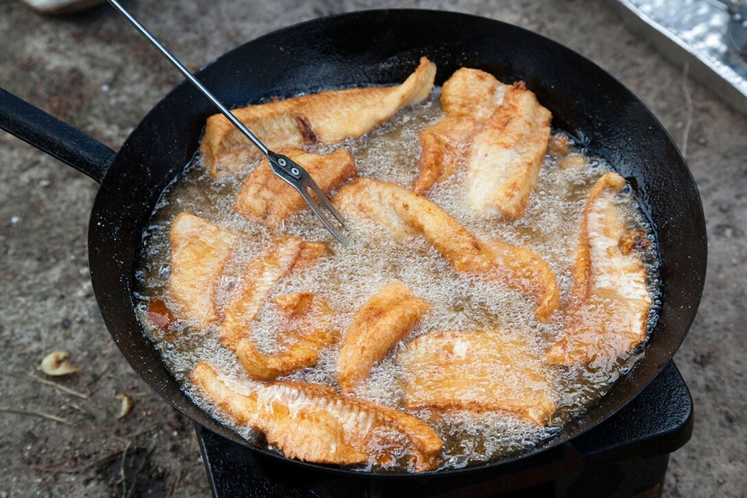 Cooking fresh fish fried BBQ with a delicious crispy golden crust in a cast- iron pan over an open fire outdoor Stock Photo