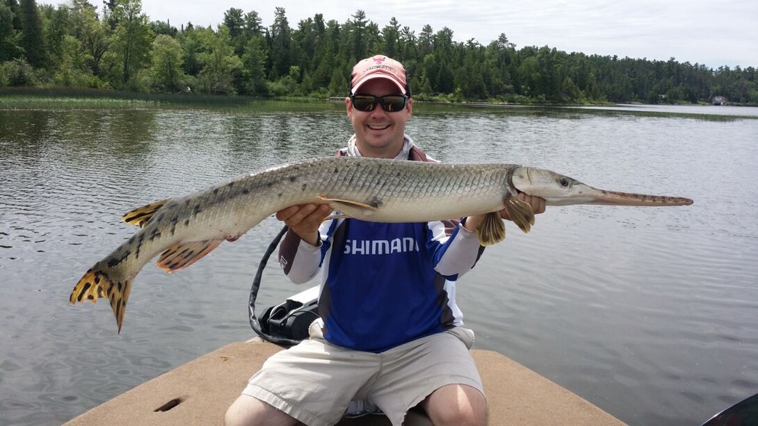 Northern Ontario's Longnose Gar: One for the Bucket List