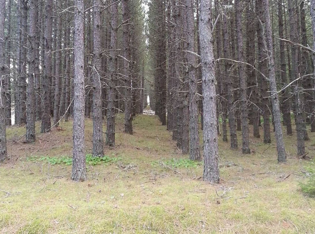 From prison to park - Unveiling a storied past at Neys Provincial Park 