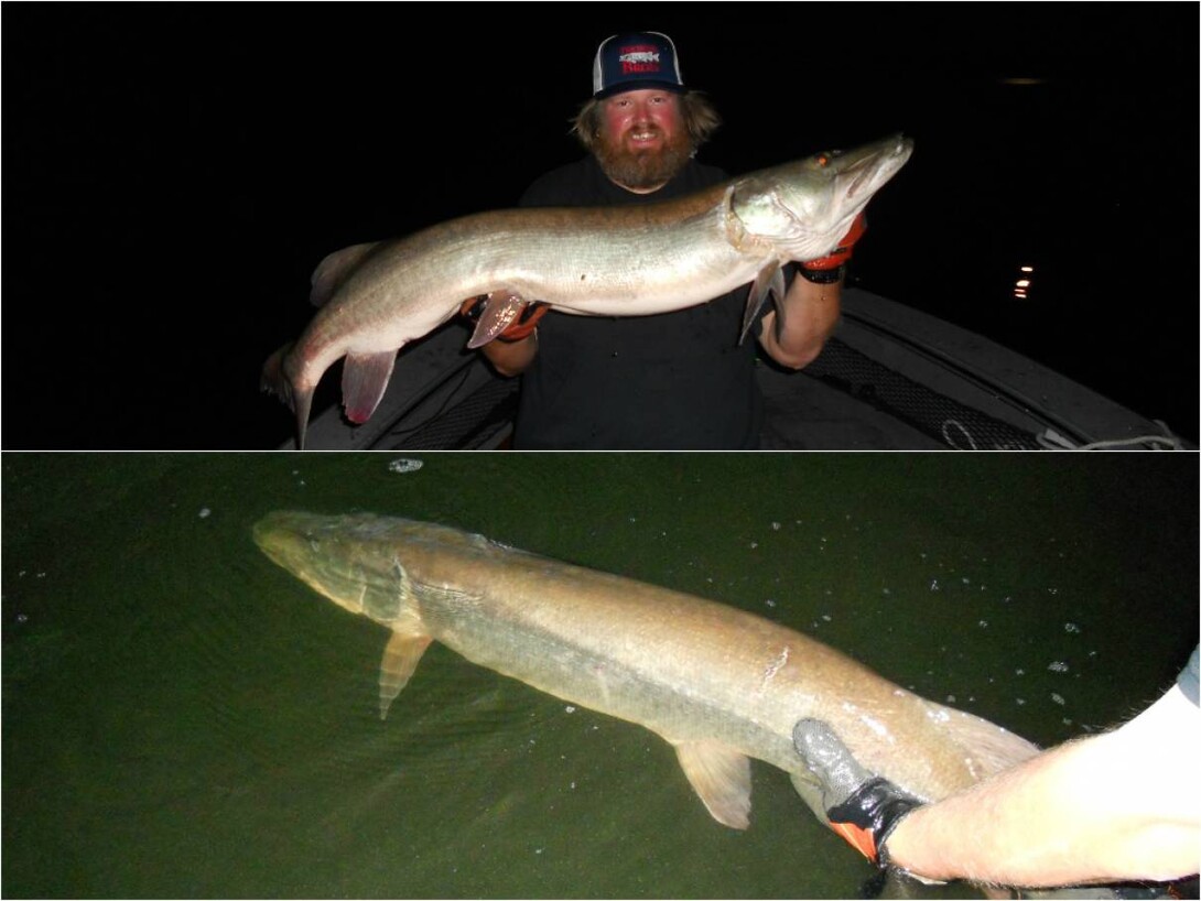 J-Man's 2014 Fall Muskie Trolling Report: Lake of the Woods