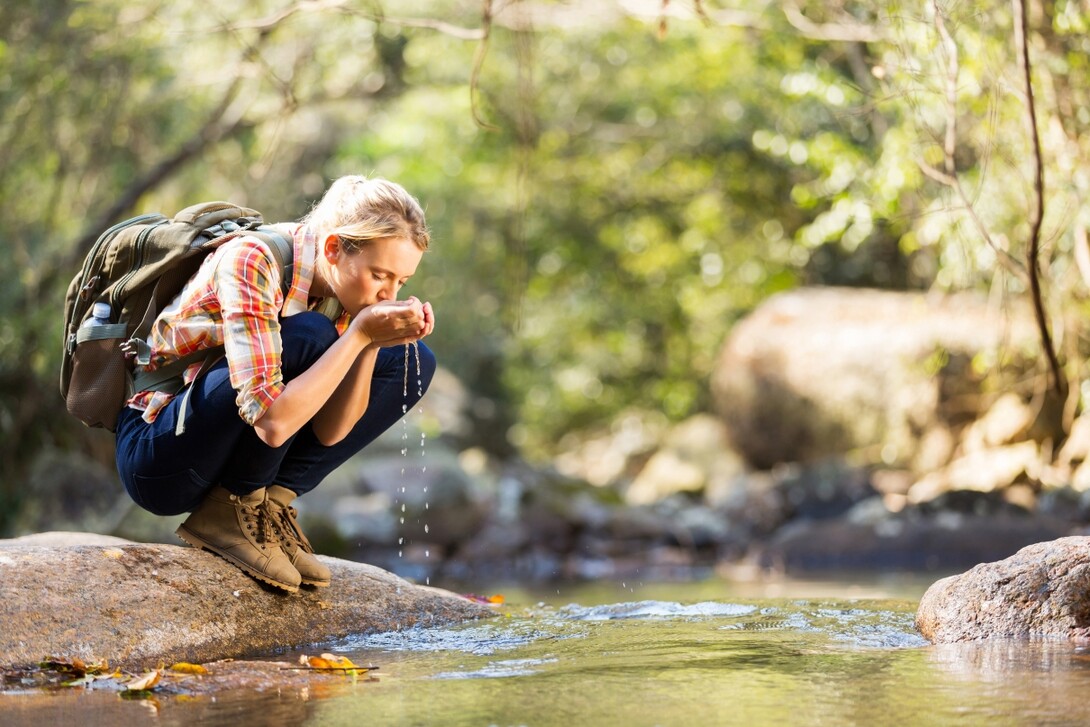 10 Best Trails and Hikes in Sault Ste. Marie