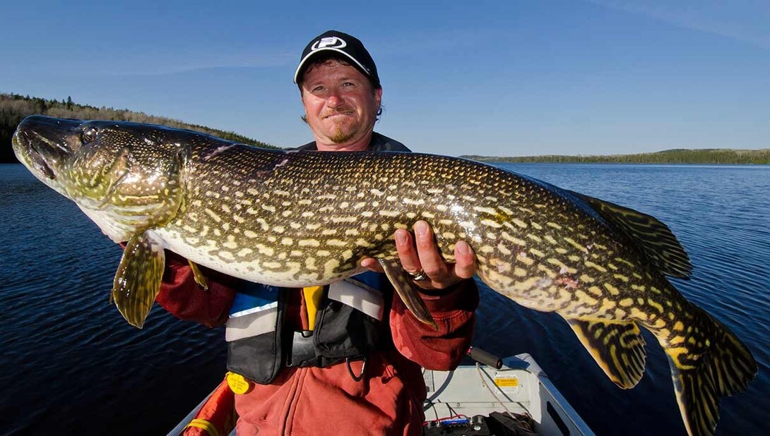 Northern Pike Fishing  Algoma Northern Ontario Canada