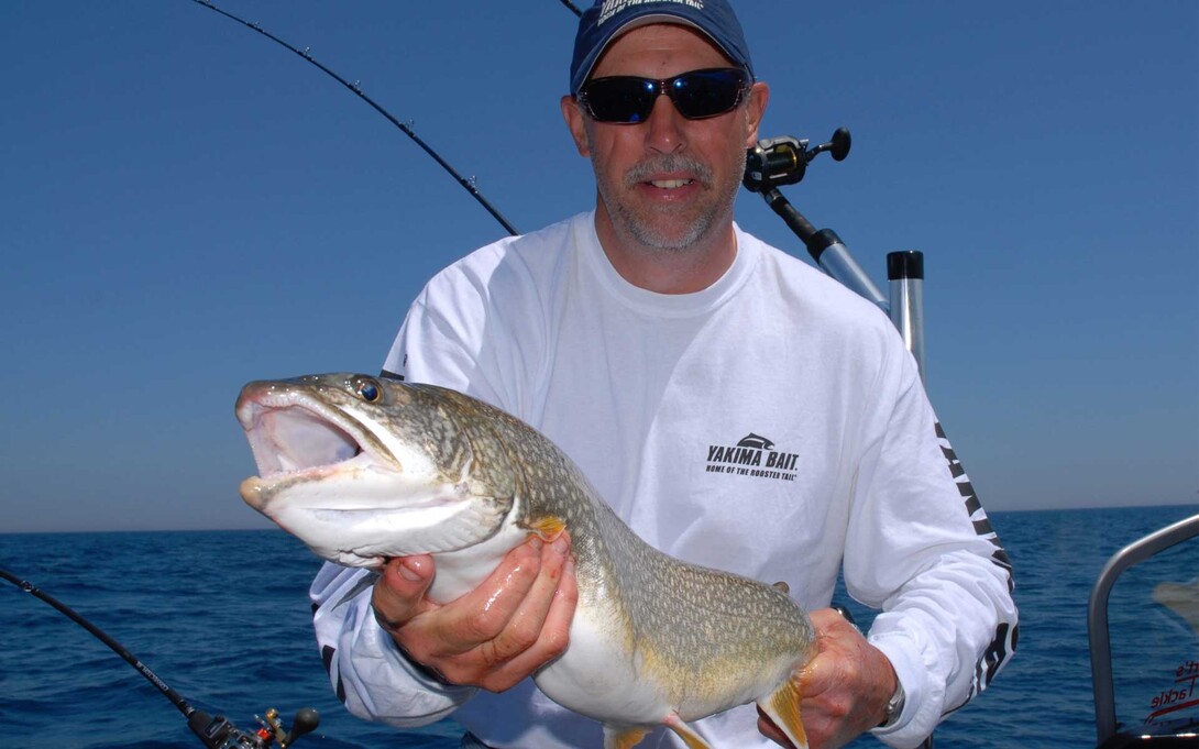 Attractor Trolling for Lake Trout: Try These Tips & Tricks When Fishing in  Algoma Country