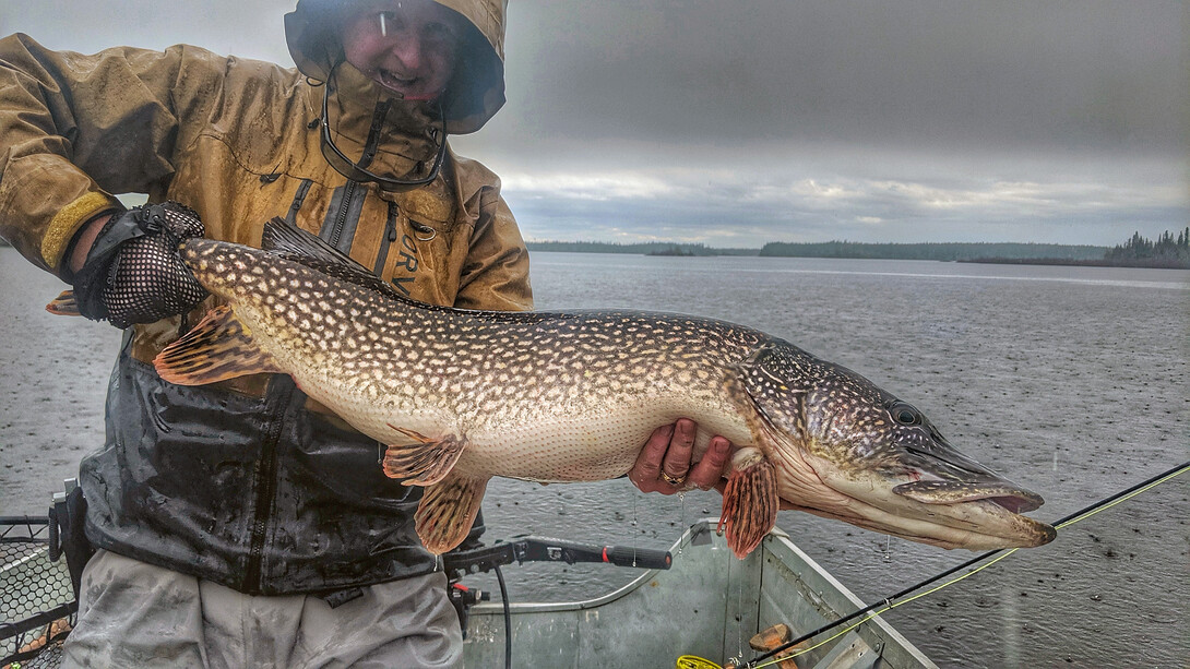 Pike - Hawkins Outfitters - Northern Michigan Fly Fishing and Wingshooting