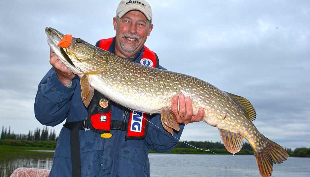 Spoons: A Lifetime of Lessons for Giant Pike Fishing - In-Fisherman