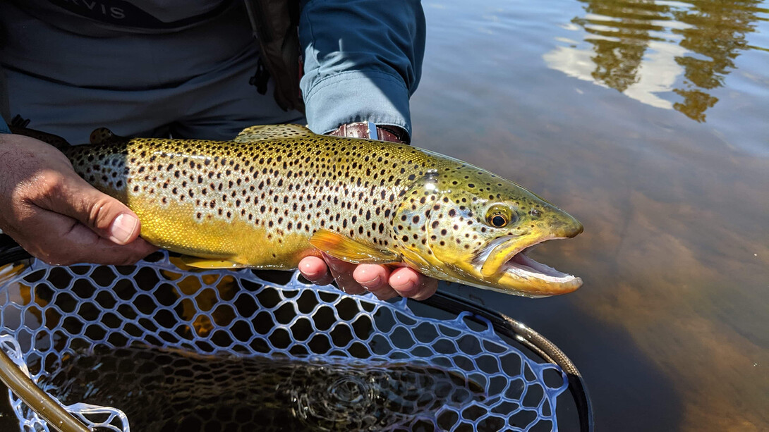 Fly Fishing the Grand River with Mikey Metcalfe